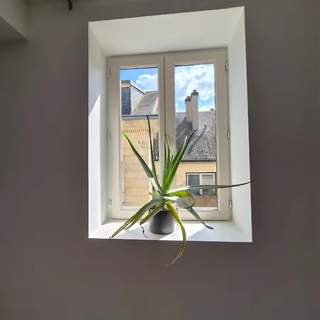 Apartment Au Coeur De Pour 10 Personnes *